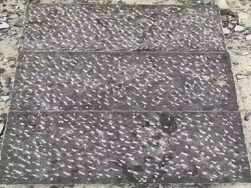 仿古青石板材 青石板铺地石 古建筑青石板 青石板菠萝面